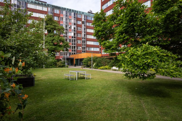 En gräsyta framför en stor byggnad.