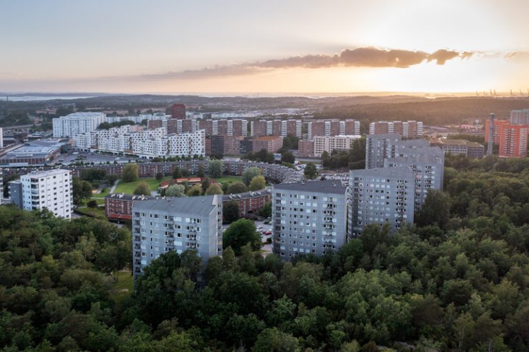 En flygbild av höga byggnader med skog till höger.