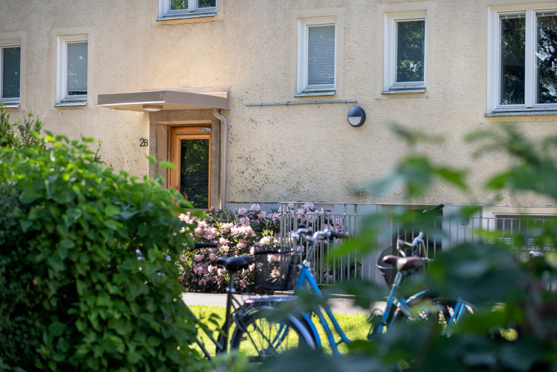 En blå cykel parkerad framför en lägenhetsbyggnad. I förgrunden syns rosa och gröna växter i solljus. 