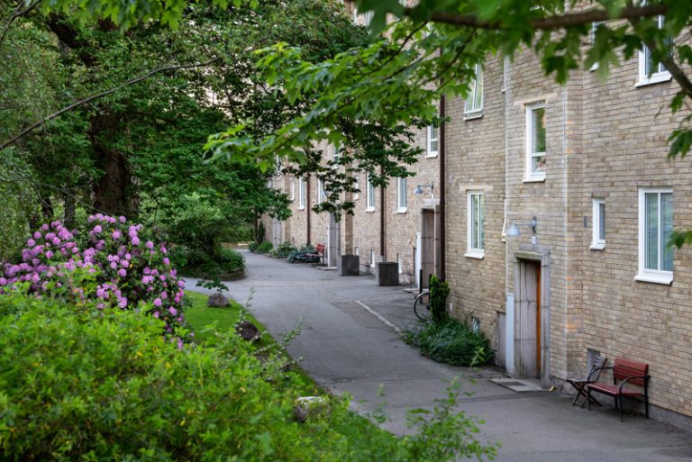 En gata kantad av tegelbyggnader intill en grönskande skog.