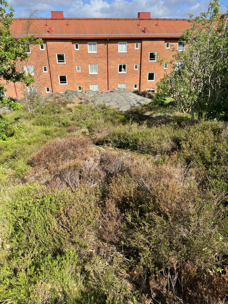 En röd tegelbyggnad som ligger bakom ett grönskande fält.