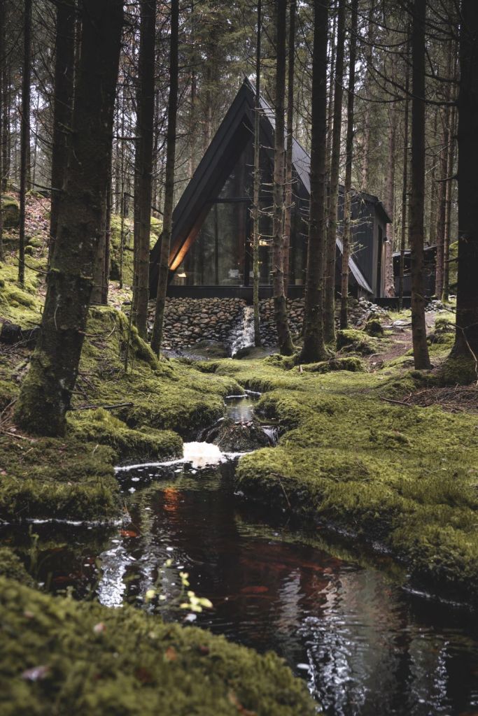 En timmerstuga på Hyssna Forest Resort.