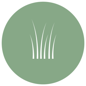 En grön cirkel med vita linjer som föreställer grässtrån.