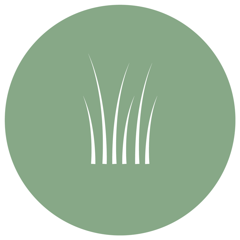 En grön cirkel med vita linjer som föreställer grässtrån.