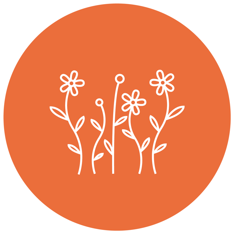 Blommor i en orange cirkel.