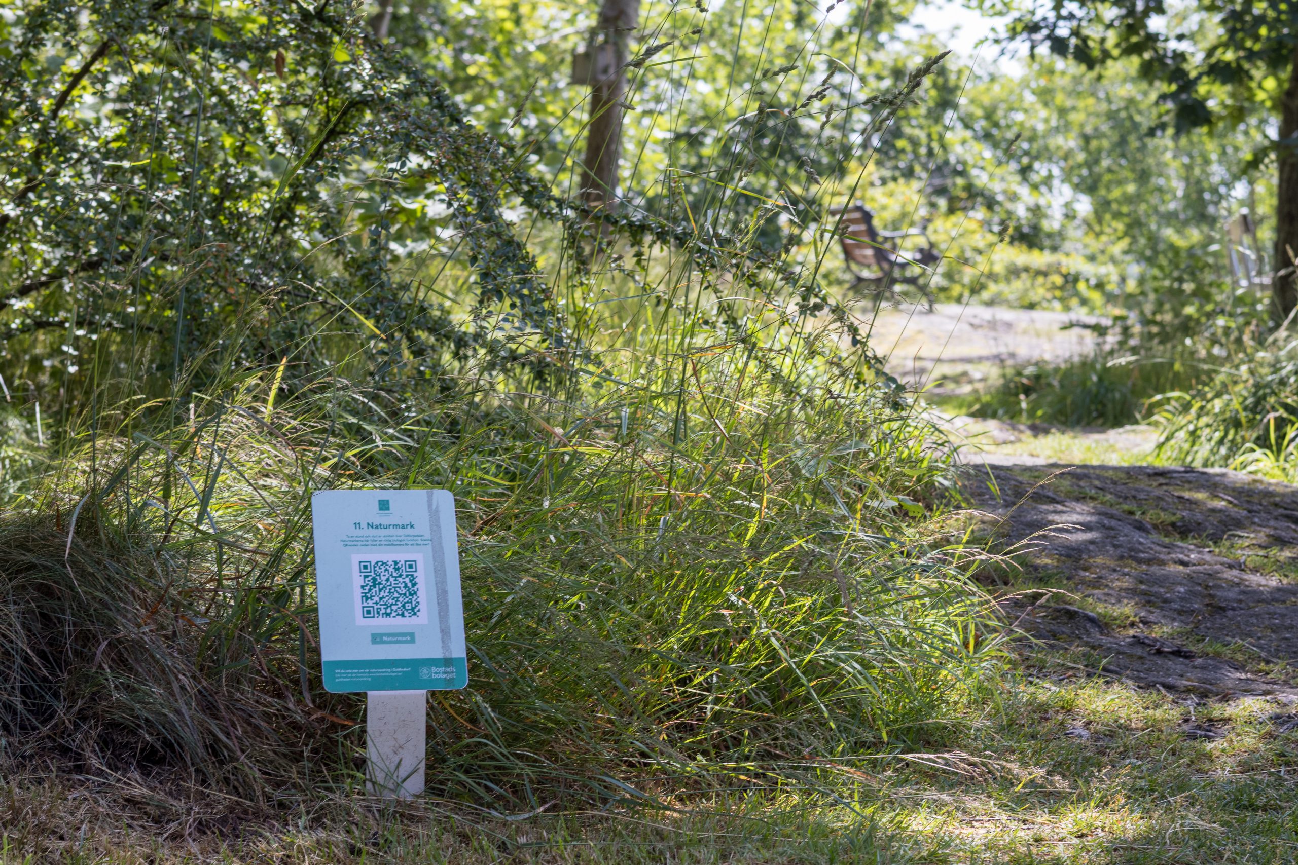 En skylt i mitten av en gräsyta.