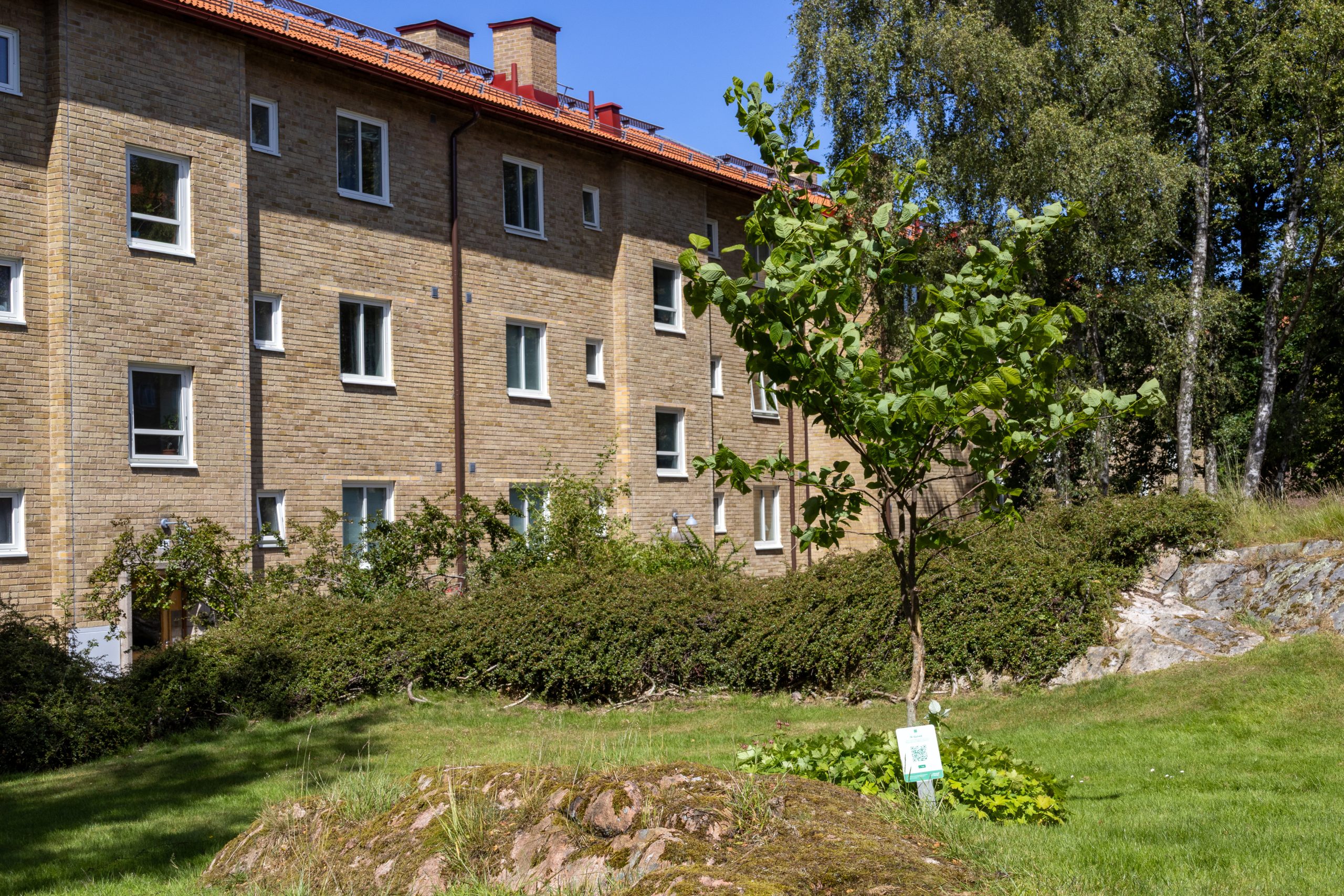 En byggnad med ett träd framför sig.