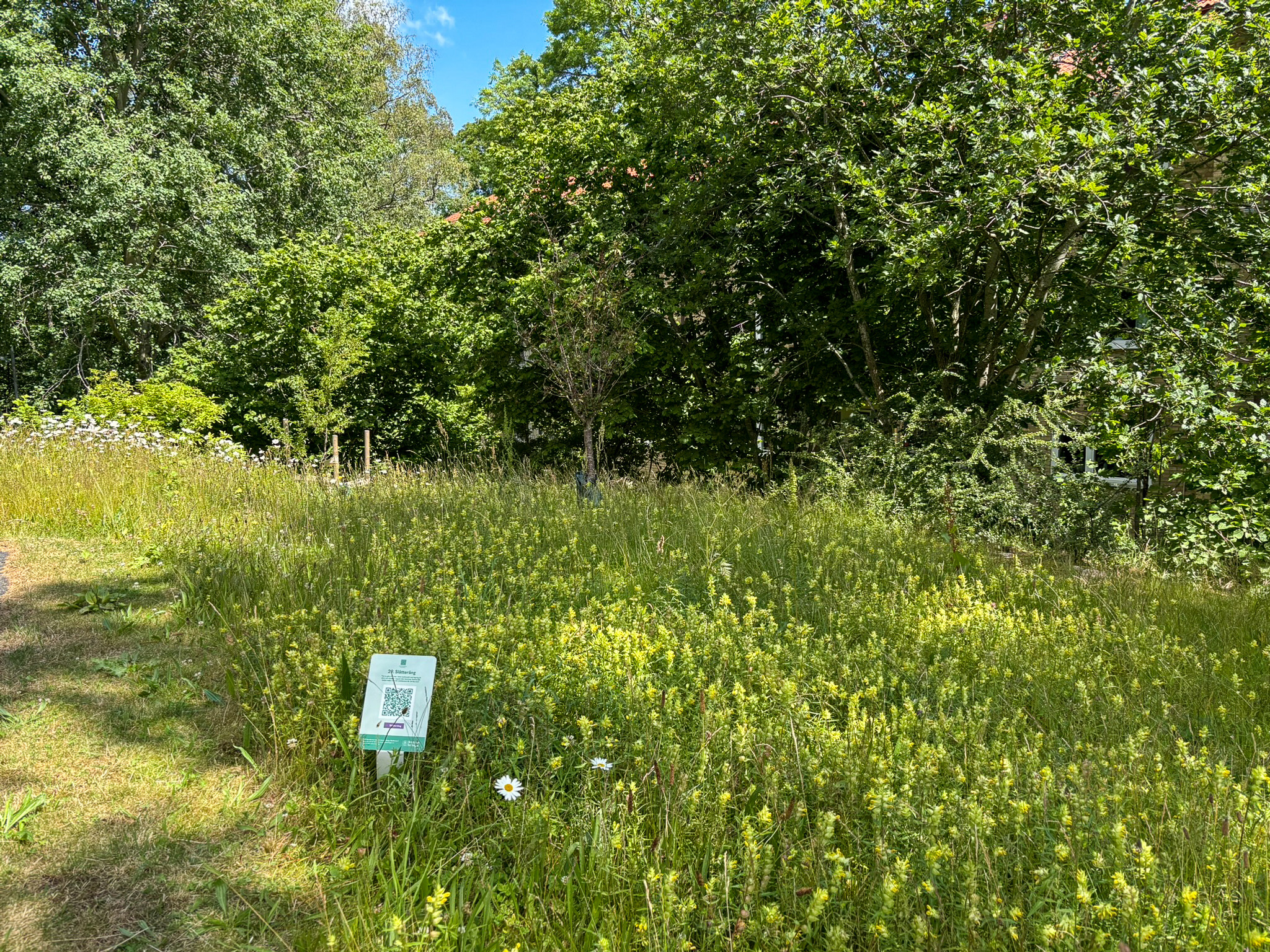 En skylt som sitter mitt i ett grönskande fält.