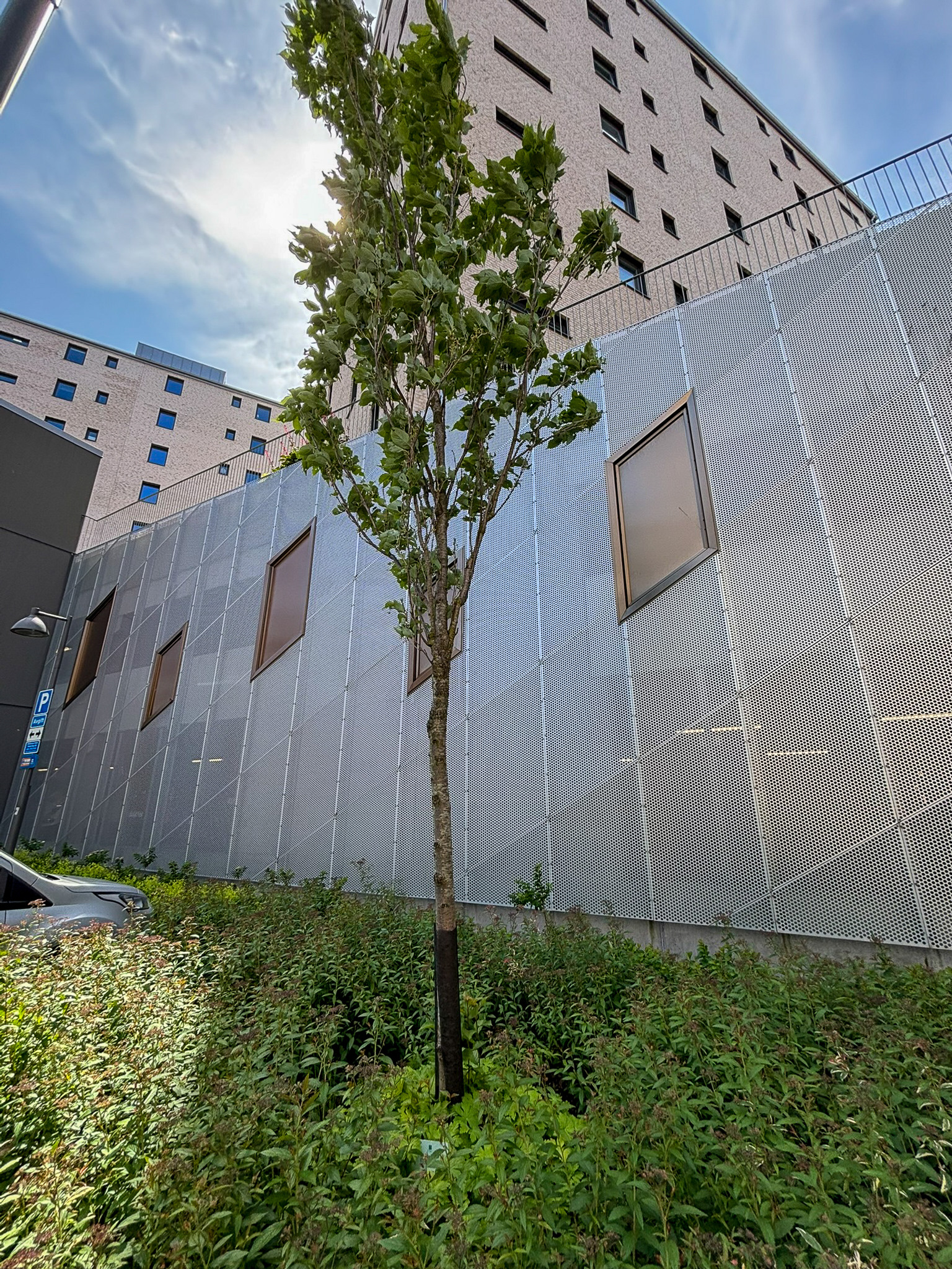 En hög byggnad med ett träd framför sig.