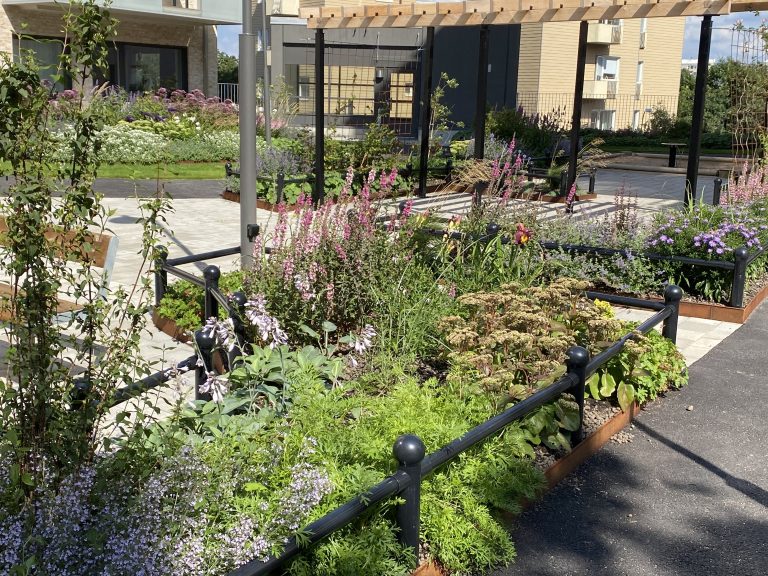 En trädgård med massor av olika växter och blommor.