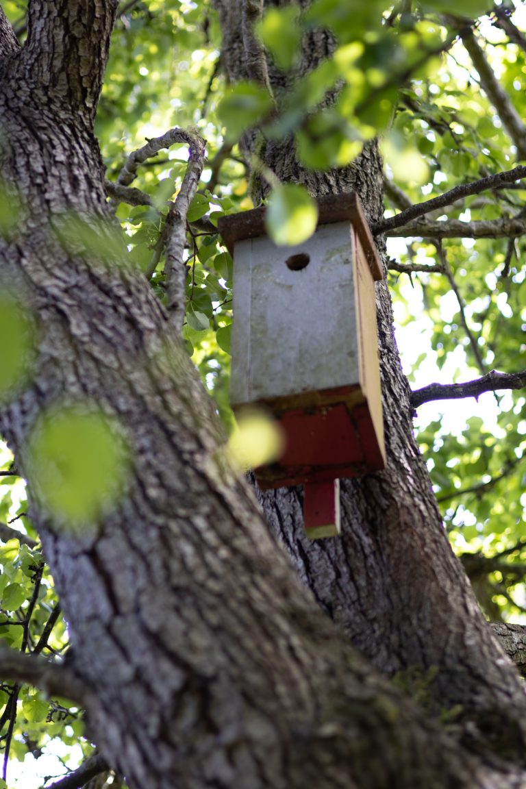 En fågelholk som hänger från ett träd.