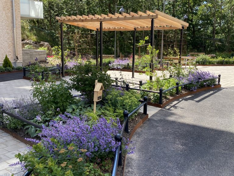 Ett trädgårdsområde med blommor.