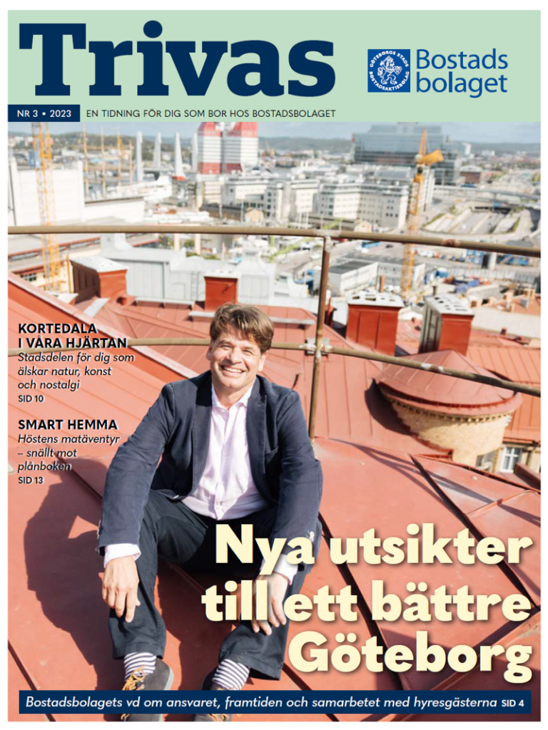 En man sitter uppe på ett tak. I bakgrunden syns en stad.