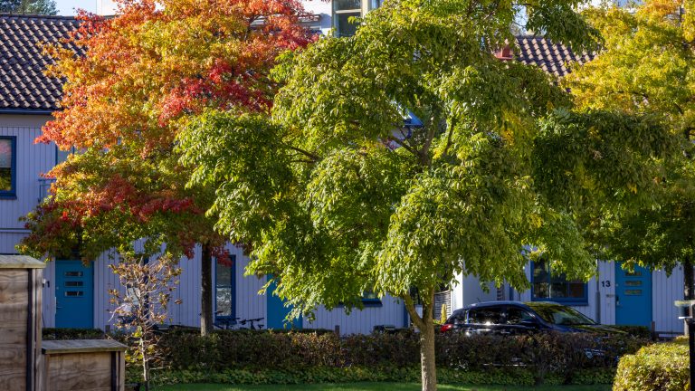 Ett hus med en bil parkerad framför.