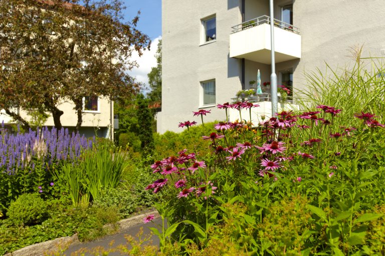 En rabatt med blommor som står vid en byggnad.
