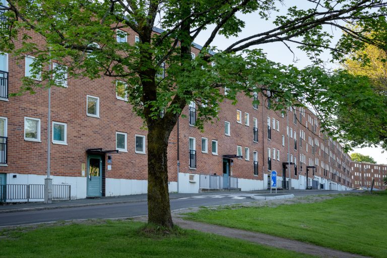 Ett träd framför en tegelbyggnad.