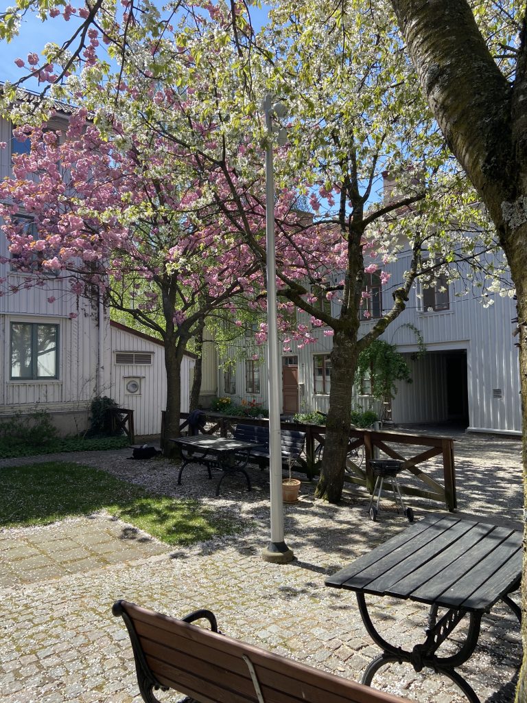 En träbänk som stårbredvid ett träd.