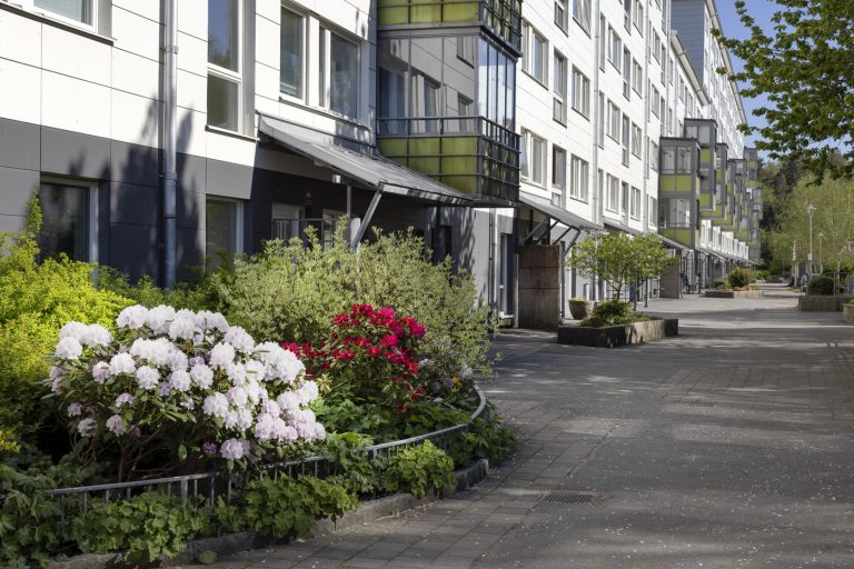 En stadsgata som kantas av många höga byggnader.