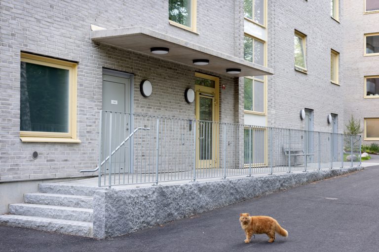 En katt som går längs gatan framför en byggnad.