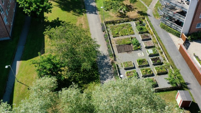 En flygbild av en trädgård och en byggnad.
