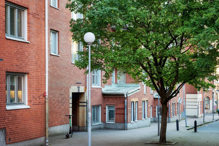 Ett träd står mitt på en gata framför en husfasad.