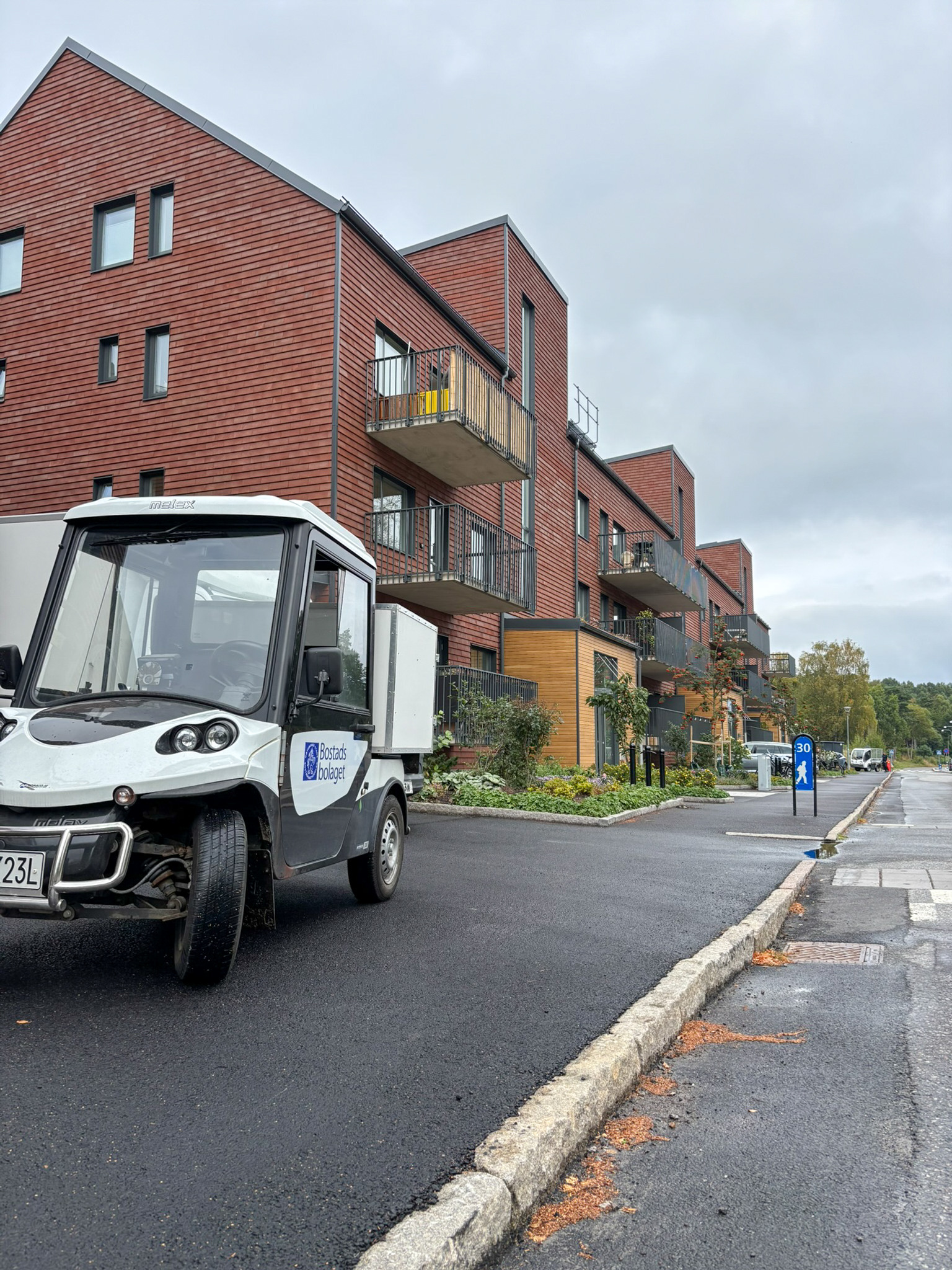En golfbil som är parkerad vid sidan av vägen.
