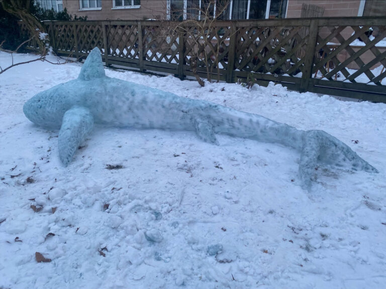 En snö/isskulptur föreställande en haj.