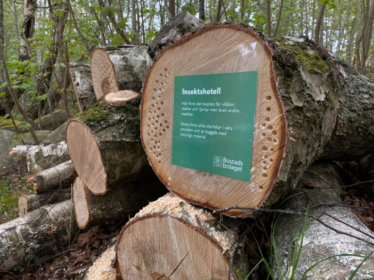 En skylt på en trädstubbe med massa hål i skogen. På skylten står det "Insektshotell" med avsändare Bostadsbolaget. 