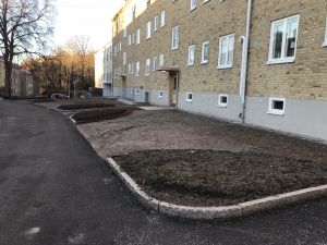 Plantering två i Högsbo på Svalegatan 41. 