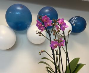 Lila orkidé framför ett arrangemang av ballonger i vitt och blått med Framtidshubbens logga på.