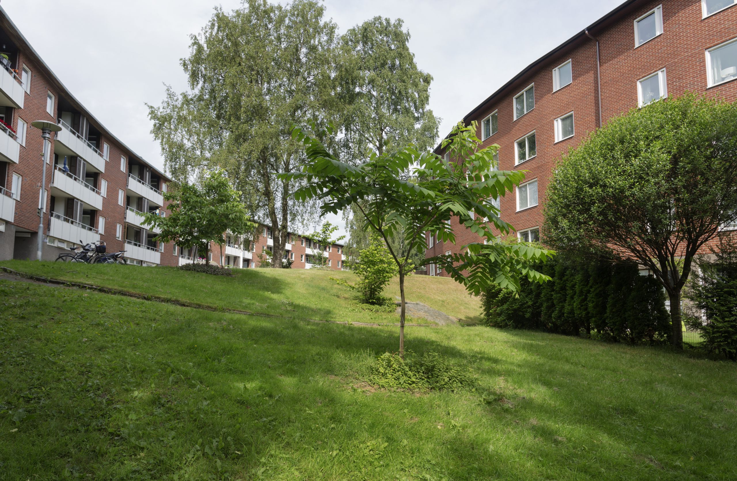 Bilden visar fastigheterna på Träkilsgatan 5-87 i Göteborg