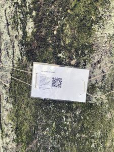 En qr-kod upphängd på ett träd.