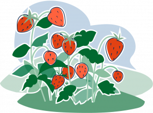 tecknad bild på jordgubbar